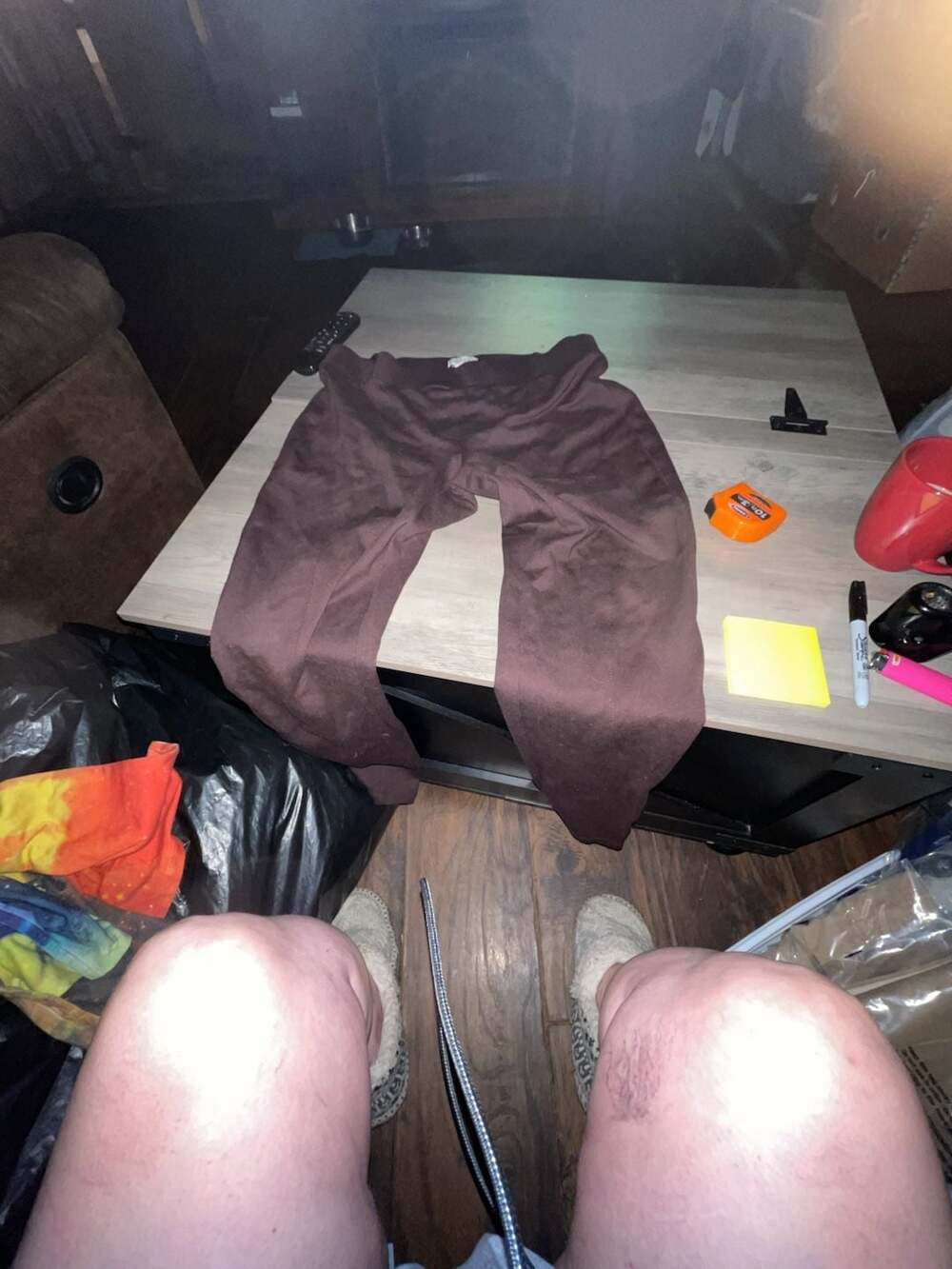 Aritzia Brown Trousers